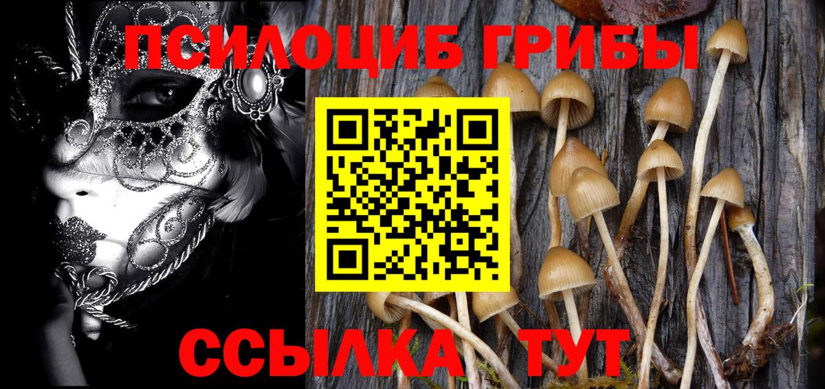 Кандалакша  Галлюциногенные грибы GOLDEN TEACHER  Вход с VPN  Галлюциногенные грибы прущие грибы 