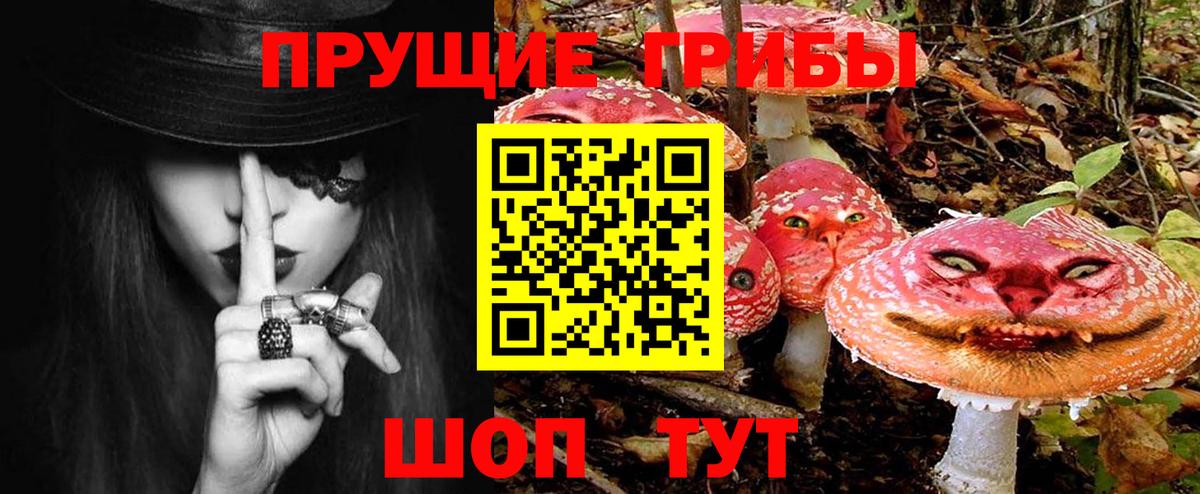 Галлюциногенные грибы GOLDEN TEACHER Кандалакша